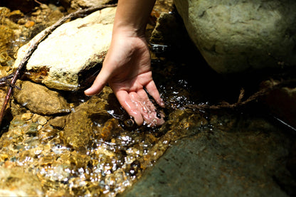 【令和7年新米】2025年コシヒカリ・ミルキークイーン食べ比べセット9.6kg