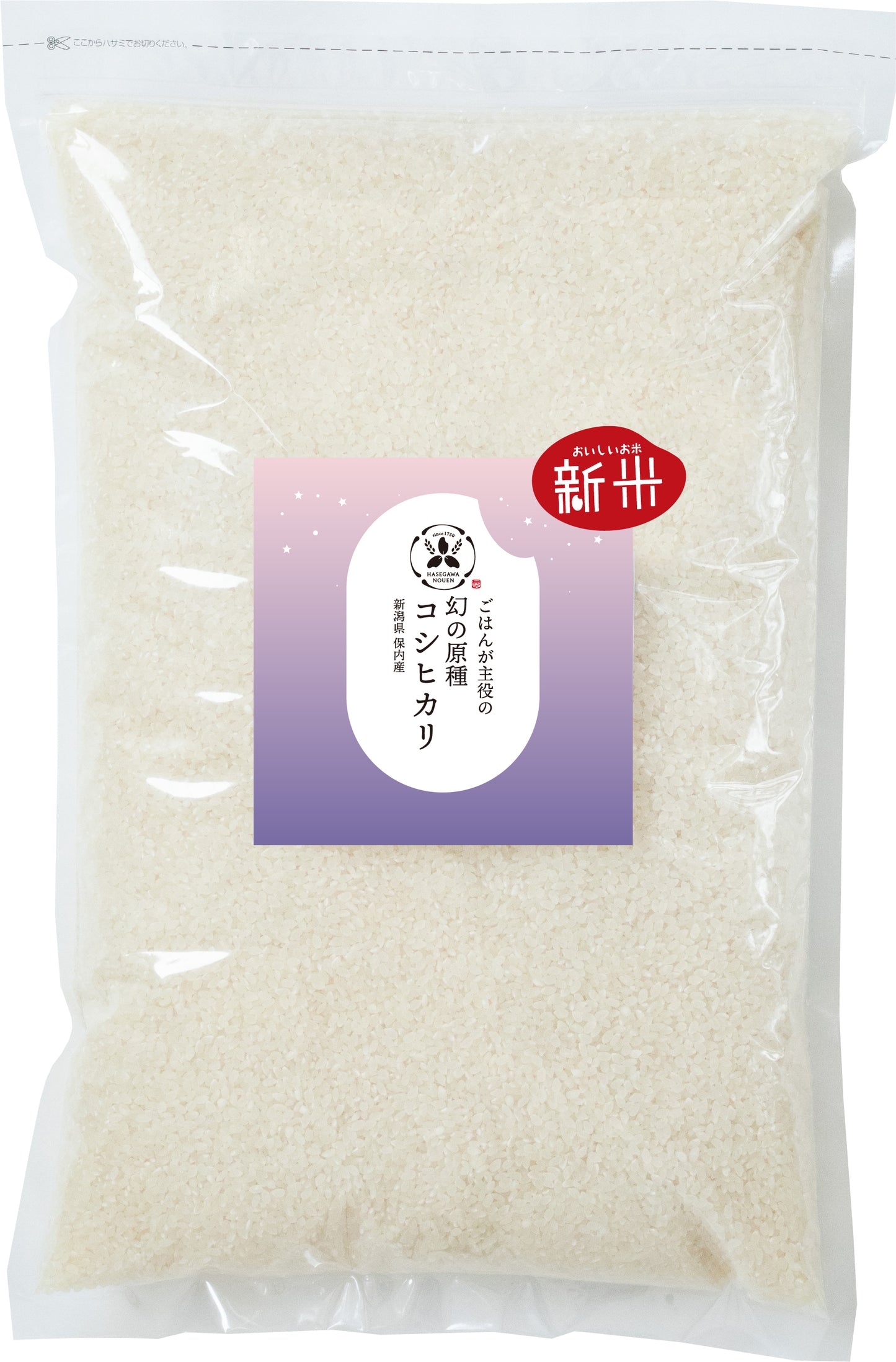 【新米6ヶ月定期】2025年 新潟県保内産幻のコシヒカリ新米 3kg