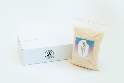 【新米隔月6ヶ月定期】2025年 新潟県保内産コシヒカリ新米 4.8kg