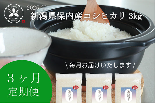 【新米3ヶ月定期】2025年 新潟県保内産コシヒカリ新米 3kg