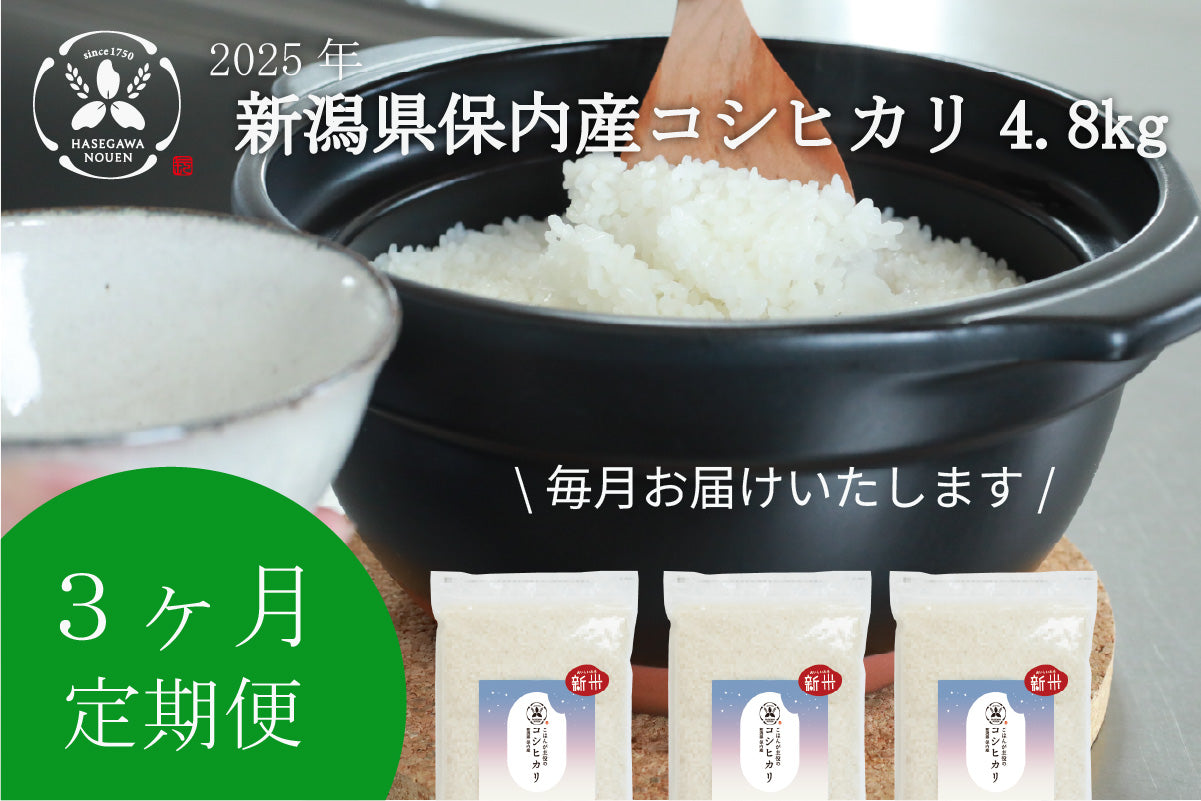 【新米3ヶ月定期】2025年 新潟県保内産コシヒカリ新米 4.8kg