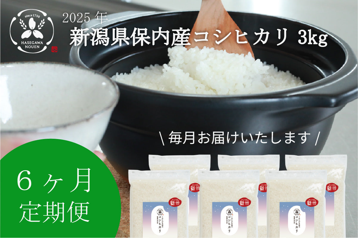 【新米6ヶ月定期】2025年 新潟県保内産コシヒカリ新米 3kg