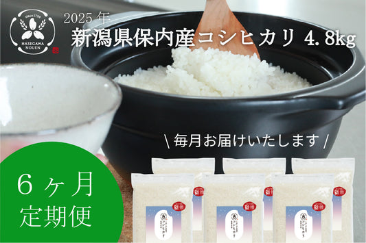 【新米6ヶ月定期】2025年 新潟県保内産コシヒカリ新米 4.8kg
