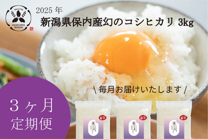 【新米3ヶ月定期】2025年 新潟県保内産幻のコシヒカリ新米 3kg