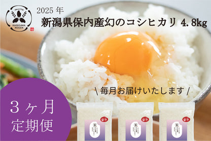 【新米3ヶ月定期】2025年 新潟県保内産幻のコシヒカリ新米 4.8kg