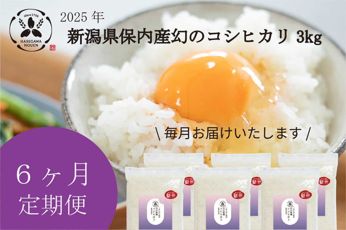 【新米6ヶ月定期】2025年 新潟県保内産幻のコシヒカリ新米 3kg