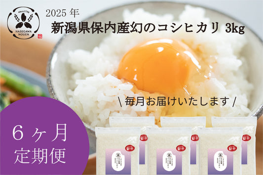 【新米6ヶ月定期】2025年 新潟県保内産幻のコシヒカリ新米 3kg