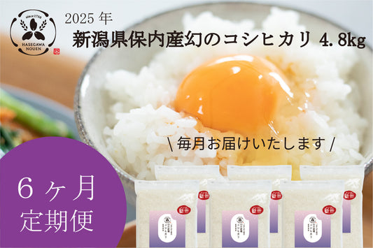 【新米6ヶ月定期】2025年 新潟県保内産幻のコシヒカリ新米 4.8kg